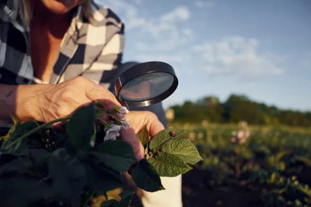 Tax deductions available for residual fertility on purchased land beneficial ownership.